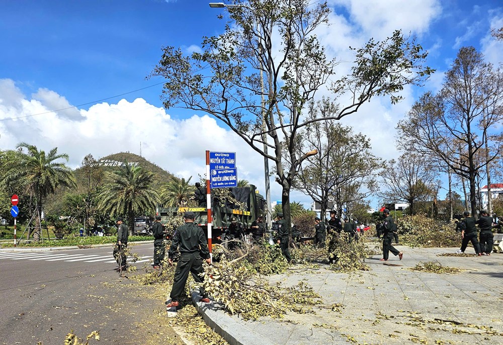 Dọn cho “viên ngọc xanh” lại sáng sau bão - ảnh 6