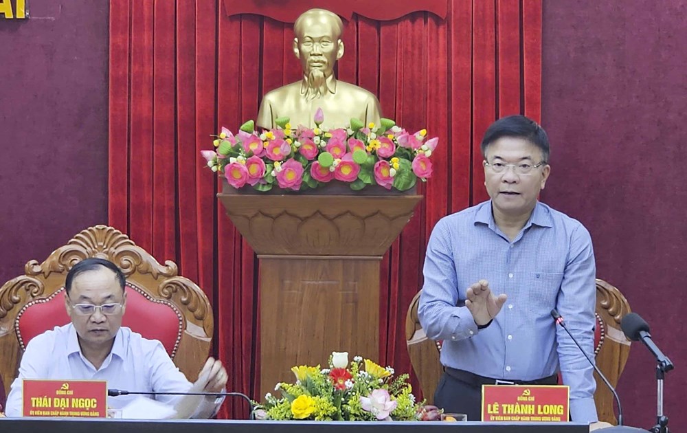 Phó Thủ tướng Lê Thành Long kiểm tra công tác khắc phục mưa lũ tại Gia Lai - ảnh 1