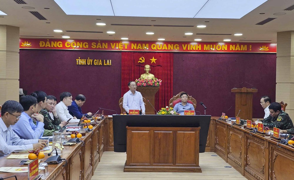 Phó Thủ tướng Lê Thành Long kiểm tra công tác khắc phục mưa lũ tại Gia Lai - ảnh 6