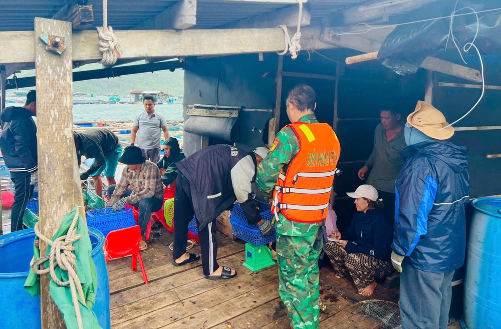 Bộ đội Biên phòng Vũng Rô tuyên truyền, vận động nhân dân phòng tránh bão số 15 - ảnh 3