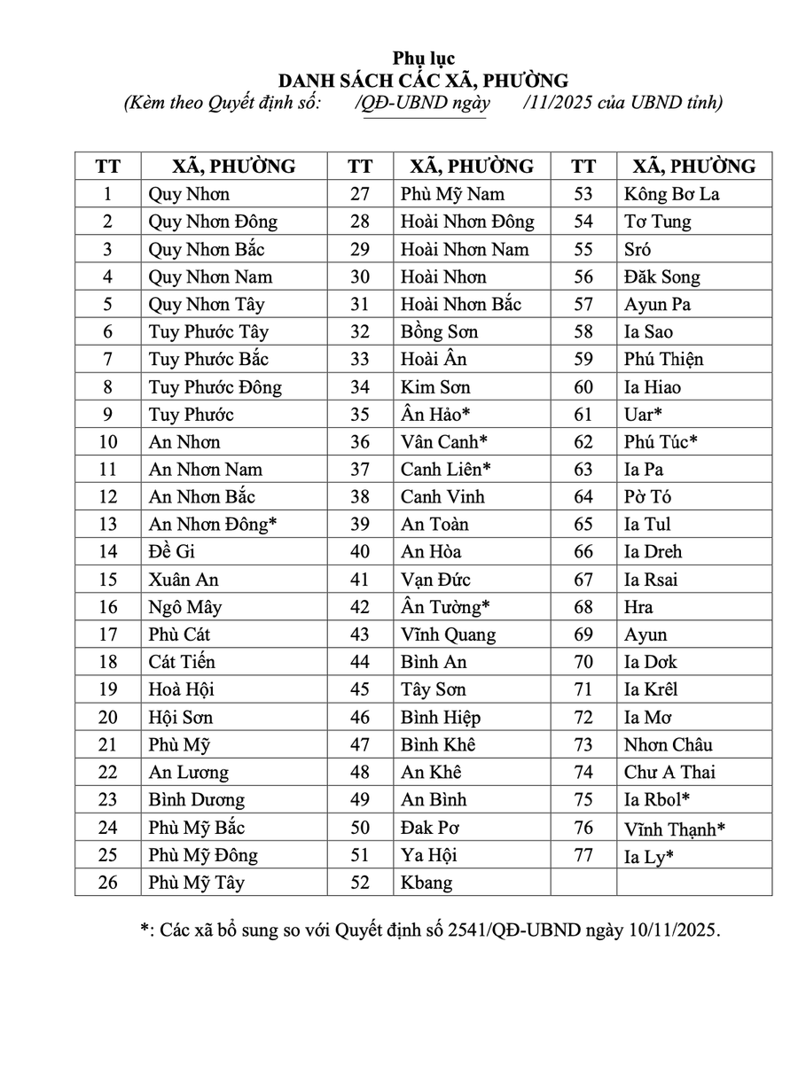 Gia Lai tiếp tục khắc phục hậu quả, chủ động ứng phó với thiên tai - ảnh 4