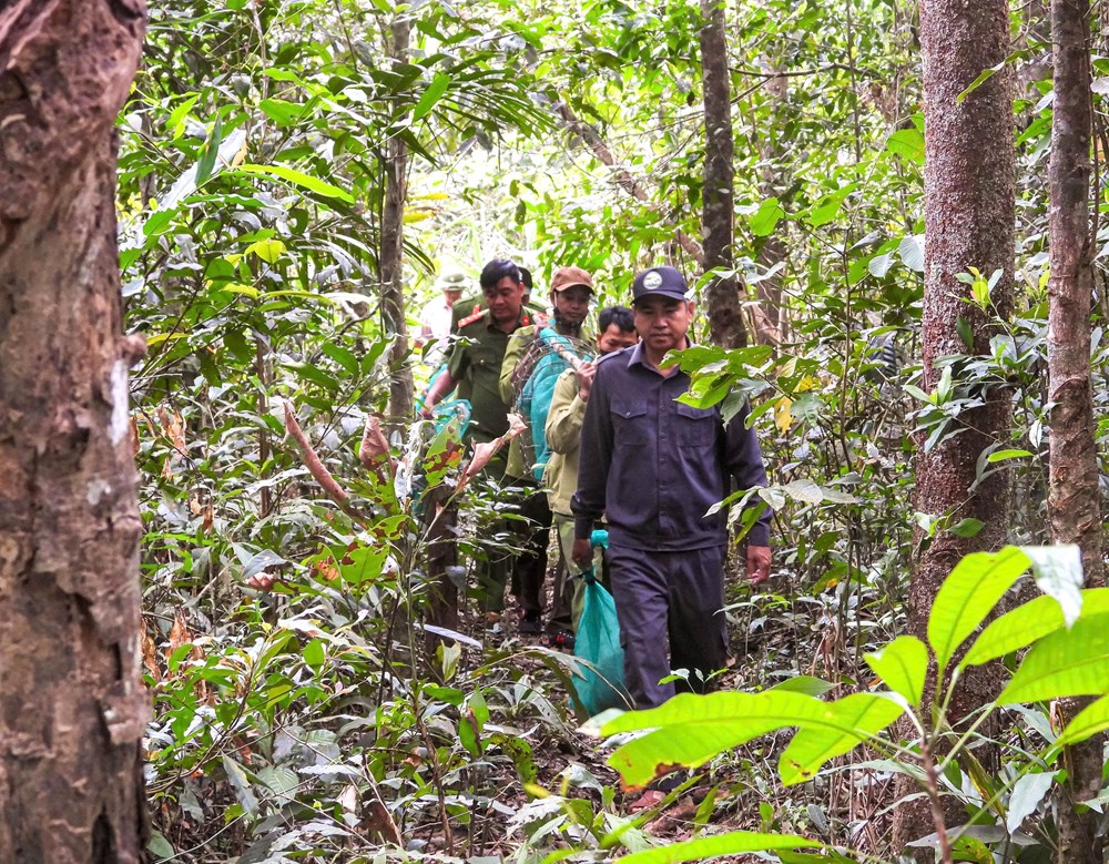 Gia Lai thả 8 cá thể động vật rừng quý hiếm về môi trường tự nhiên - ảnh 1