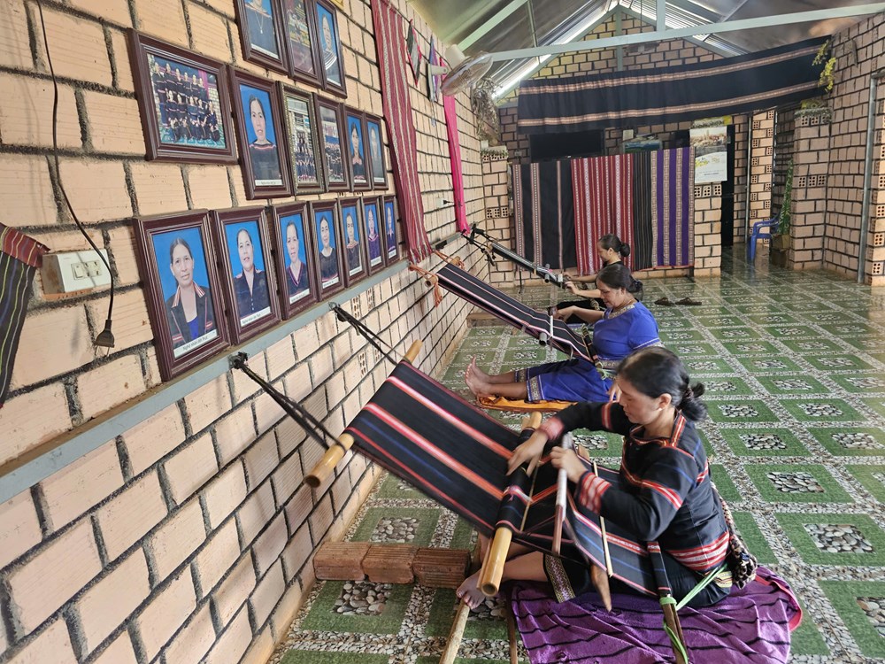 Gia Lai: Ứng dụng khoa học công nghệ, chuyển đổi số trong thực hiện bình đẳng giới - ảnh 1