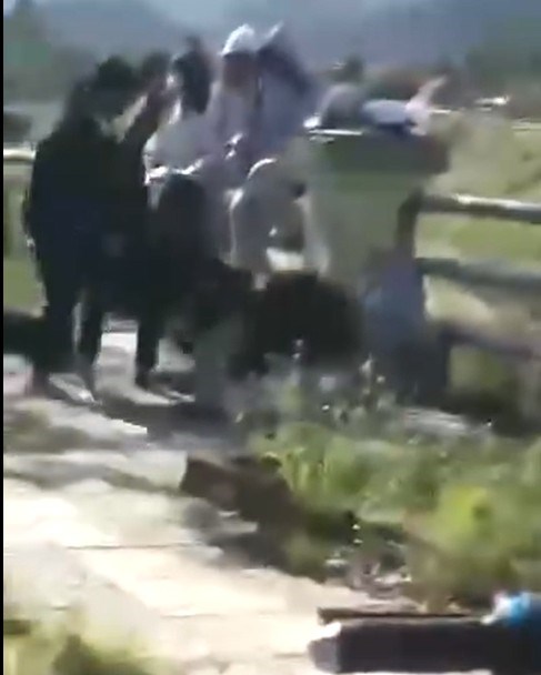 Vụ nữ sinh Gia Lai bị đánh hội đồng: Mâu thuẫn vì tương tác trên mạng xã hội - ảnh 1