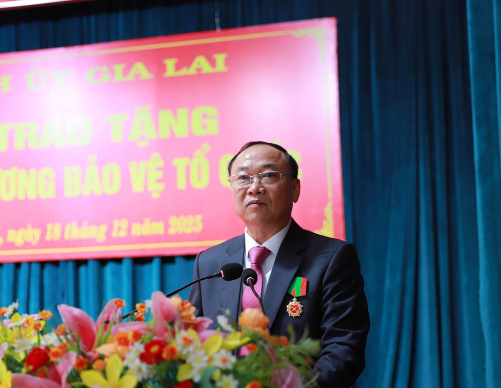 Chủ tịch nước tặng Huân chương Bảo vệ Tổ quốc hạng Ba cho Bí thư Tỉnh ủy Gia Lai - ảnh 3