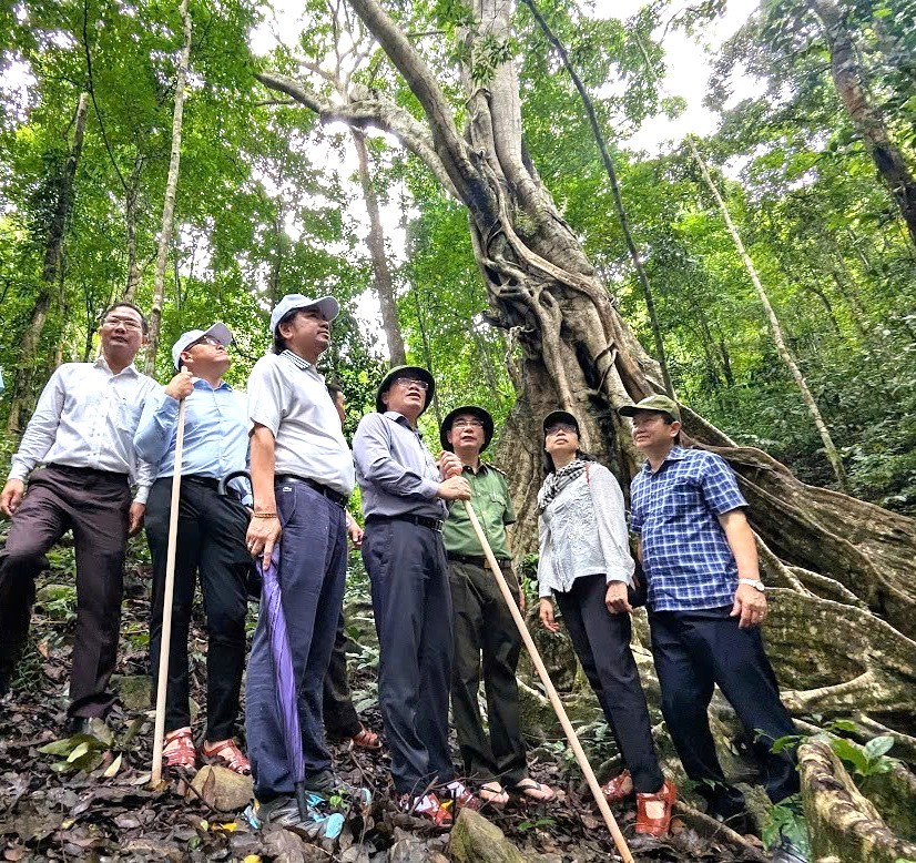 Hiệp hội Du lịch tỉnh Gia Lai chính thức bước vào nhiệm kỳ đầu tiên - ảnh 3