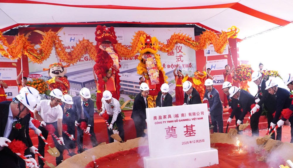 Gia Lai: Động thổ dự án Nhà máy sản xuất hàng nội - ngoại thất cao cấp - ảnh 3