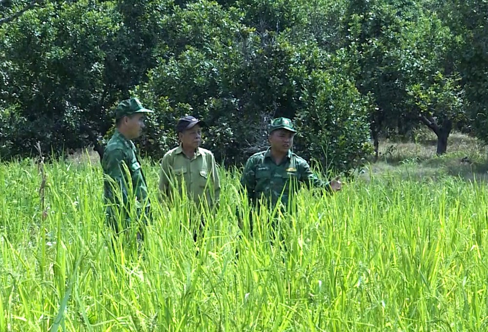 “Cột mốc sống” ở vùng biên viễn - ảnh 3