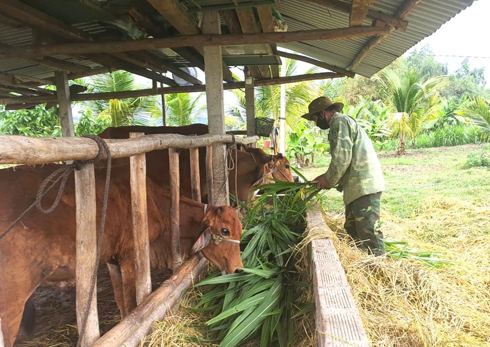 “Cột mốc sống” ở vùng biên viễn - ảnh 4