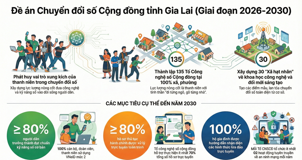  Gia Lai thành lập 135 tổ “cánh tay nối dài” trong chuyển đổi số cộng đồng - ảnh 3