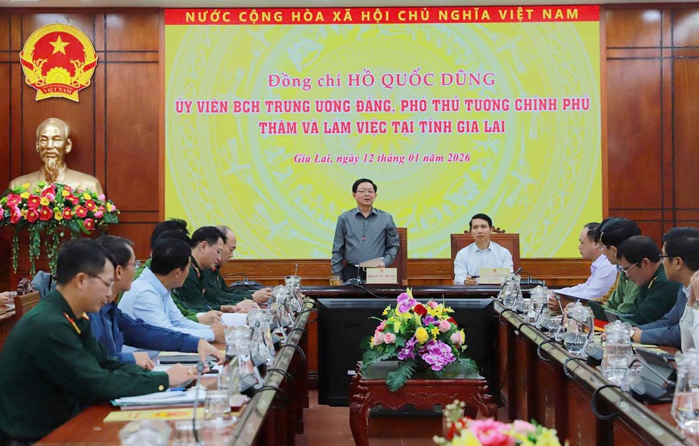 Phó Thủ tướng Hồ Quốc Dũng: Cần thần tốc, dứt điểm xây, sửa nhà cho dân vùng bão lũ Gia Lai trước Tết - ảnh 1