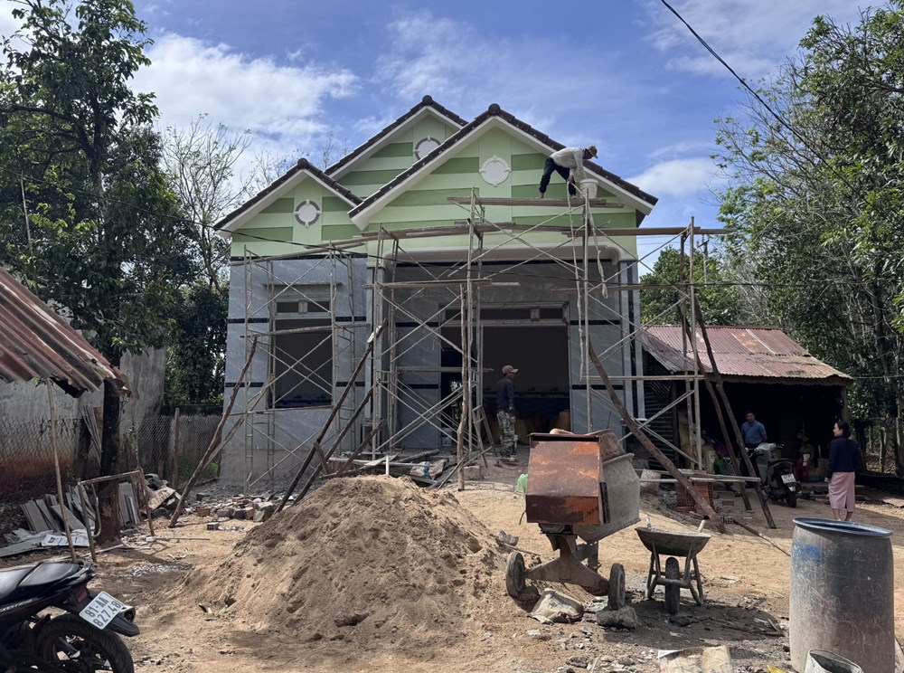 Những vụ mía ngọt trên vùng đất khô cằn Đông Trường Sơn - ảnh 3