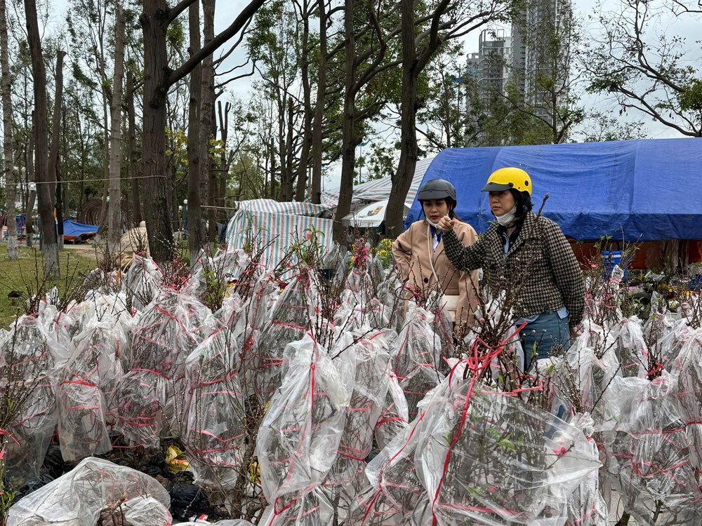 Chợ hoa xuân Quy Nhơn: Chỗ trầm lắng, nơi nhộn nhịp - ảnh 3