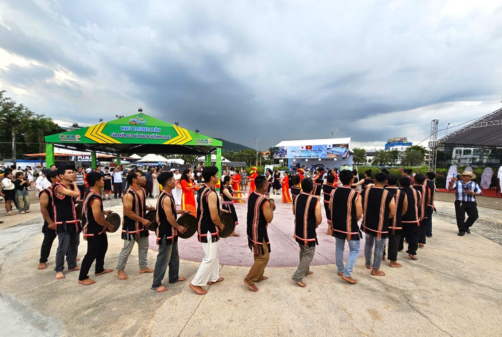 Để không gian văn hóa cồng chiêng “đại ngàn chạm biển xanh” - ảnh 5