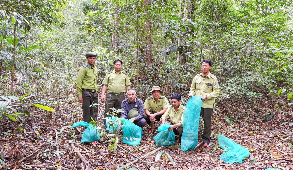 Vườn quốc gia Kon Ka Kinh: Thả 17 cá thể động vật rừng về môi trường tự nhiên - ảnh 1