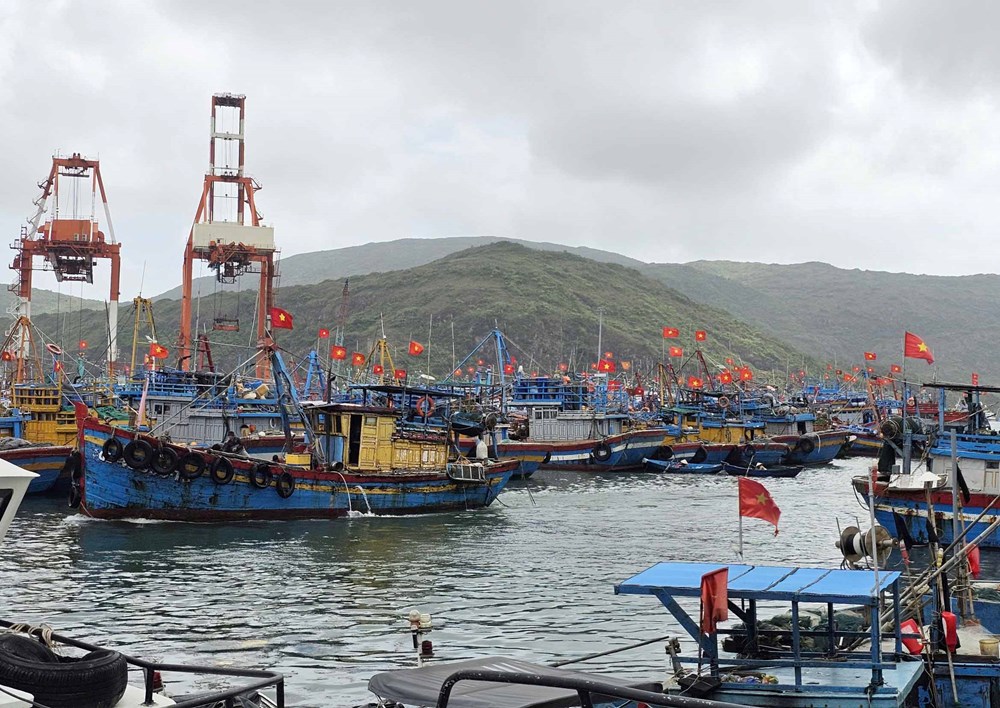 Đẩy mạnh tuyên truyền bầu cử cho ngư dân vùng biển Gia Lai - ảnh 3