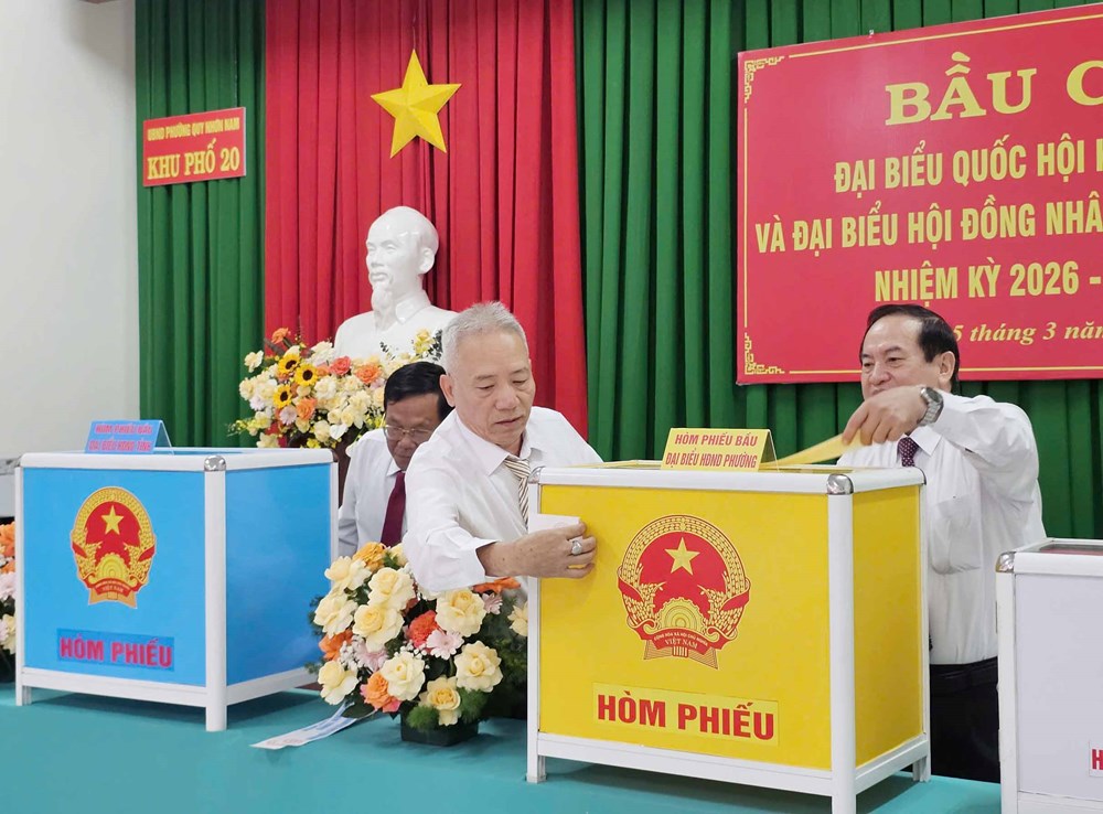 Phó Thủ tướng Hồ Quốc Dũng tham gia bỏ phiếu tại phường Quy Nhơn Nam, Gia Lai - ảnh 7