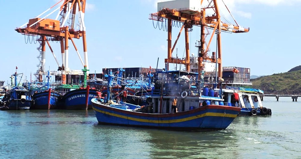 Vượt khó bài toán giá nhiên liệu, ngư dân Gia Lai quyết tâm bám ngư trường - ảnh 3