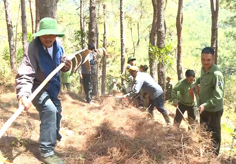Gia Lai căng mình giữ rừng giữa mùa nắng nóng - ảnh 2