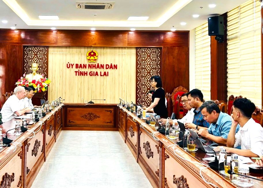 Gia Lai đăng cai Hội thảo quốc tế về lịch sử, văn hóa miền Trung  - ảnh 2