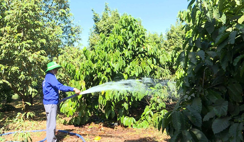 Bài toán nào để Gia Lai cứu những hồ chứa nước đang “khát” từng ngày? - ảnh 3