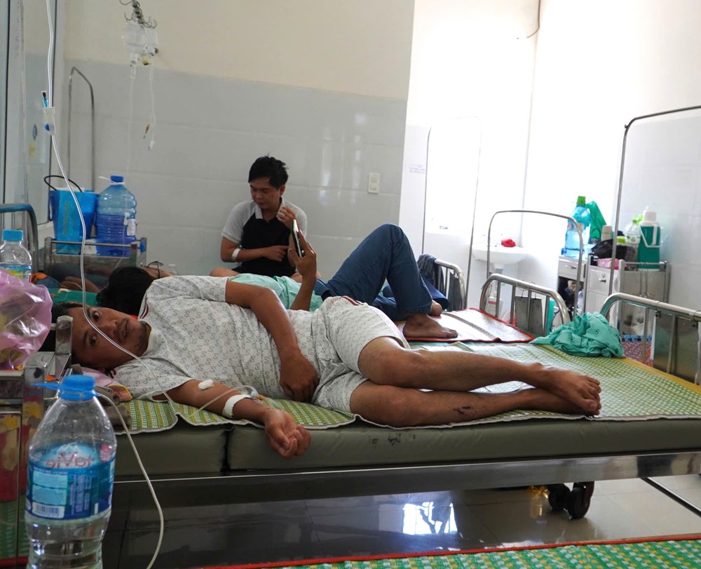 Vụ ngộ độc bánh mì Lâm Huyền: Giò thủ vượt giới hạn vi sinh vật hiếu khí - ảnh 1