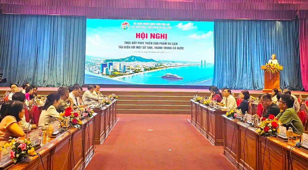 Gia Lai mở hướng phát triển du lịch tàu biển - ảnh 1