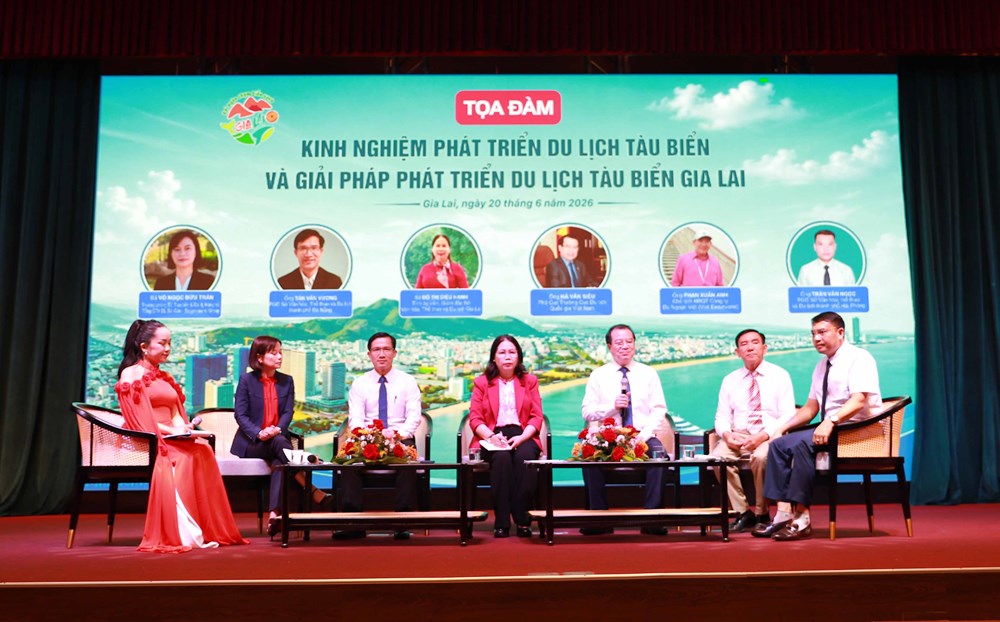 Gia Lai mở hướng phát triển du lịch tàu biển - ảnh 2