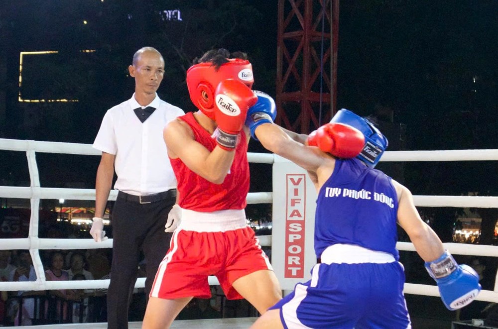 Gia Lai khai mạc Đại hội Thể dục thể thao môn boxing - ảnh 1