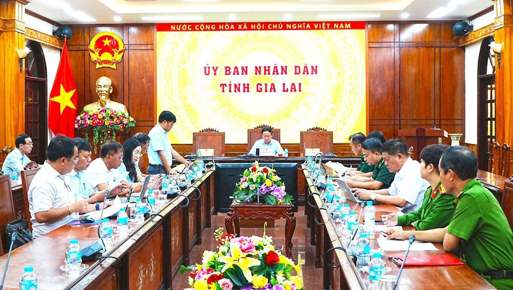 Gia Lai thống nhất cơ chế hỗ trợ tàu cá bị cháy do hỏa hoạn - ảnh 2