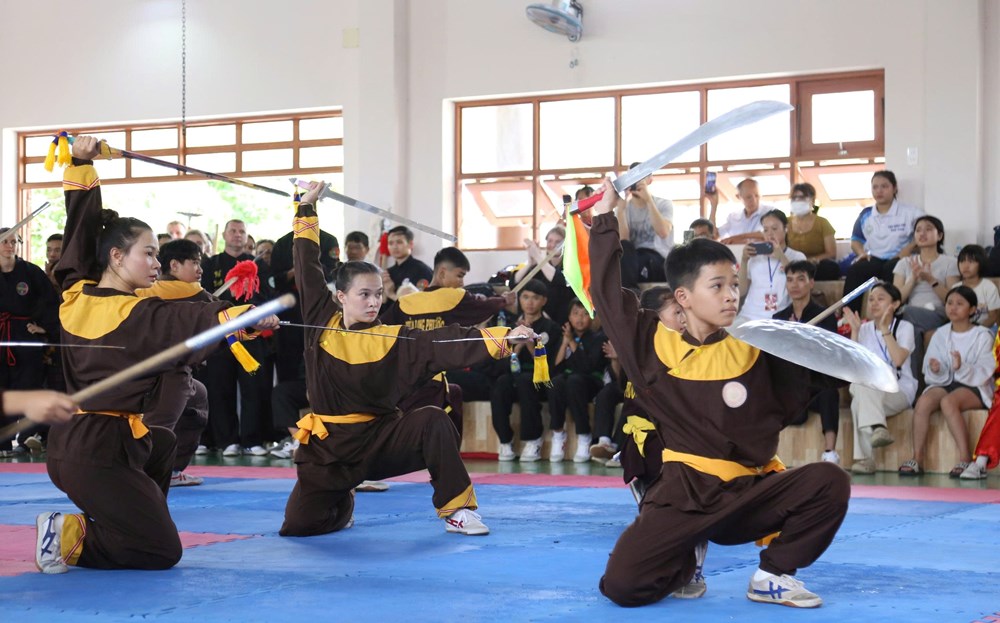 Võ cổ truyền Việt Nam - nhịp cầu kết nối văn hóa quốc tế - ảnh 1