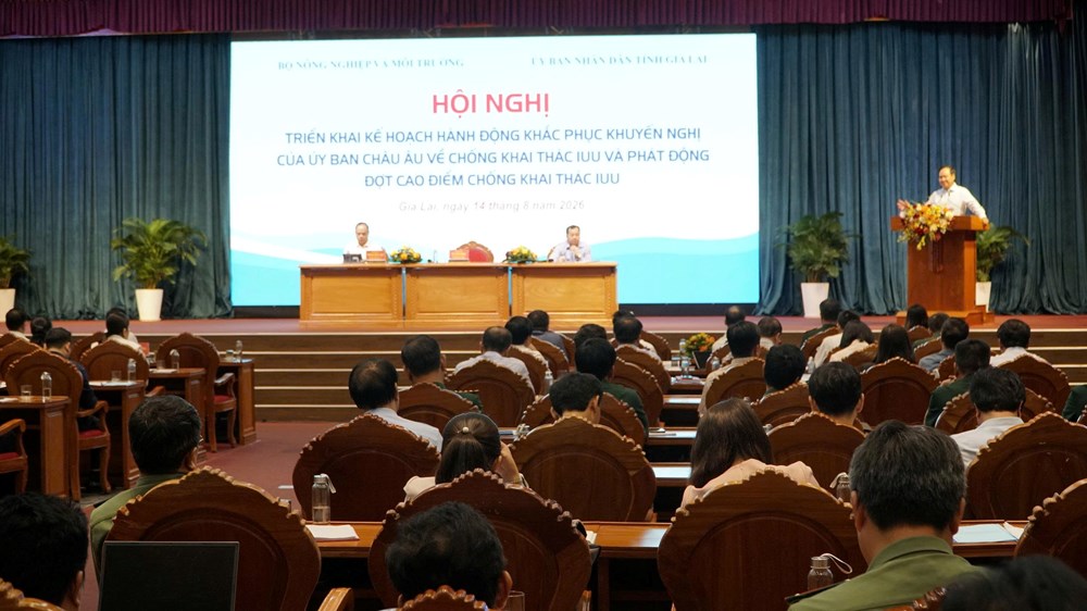 Phát động tháng cao điểm toàn quốc chống khai thác IUU - ảnh 3