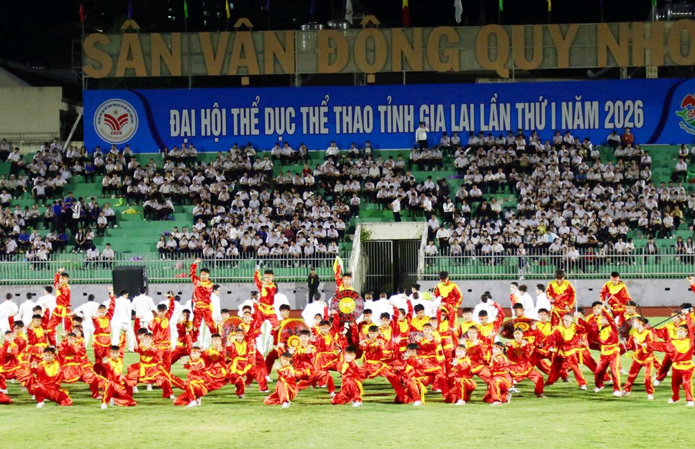 138 ngành, đơn vị, địa phương tham gia Đại hội TDTT tỉnh Gia Lai lần thứ I - ảnh 12