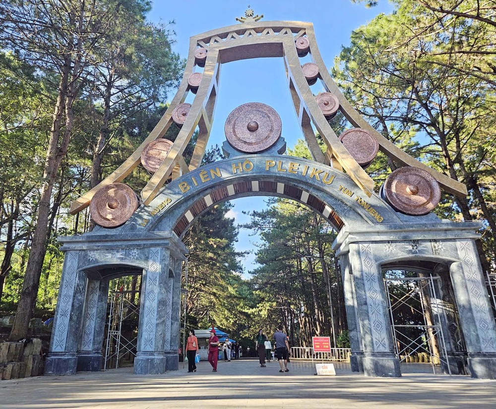 Gia Lai tạo hai “cực tăng trưởng” biển - cao nguyên - ảnh 4