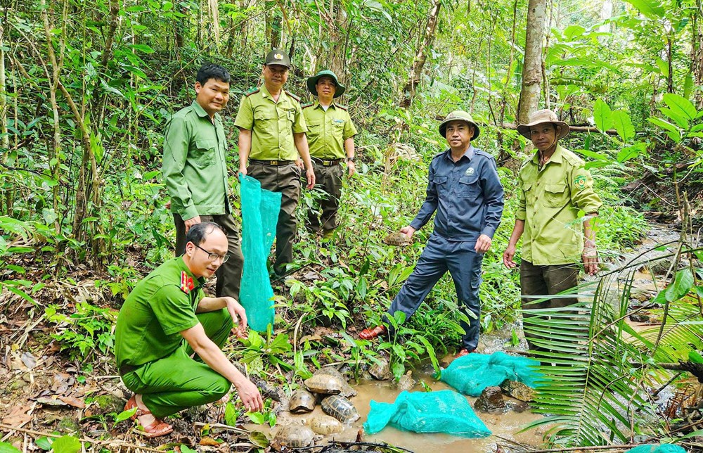 Thả 31 động vật nguy cấp, quý hiếm về môi trường tự nhiên - ảnh 1