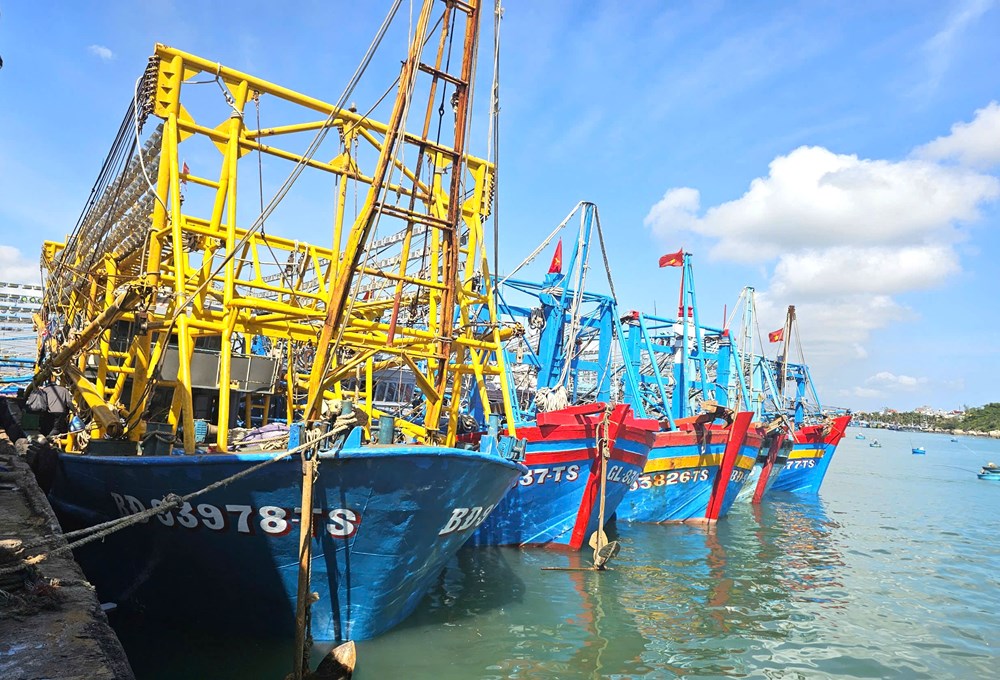 Gia Lai gỡ “thẻ vàng” EC: Siết quản lý, ngư dân chủ động vươn khơi chống IUU - ảnh 2