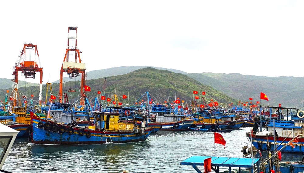 Gia Lai gỡ “thẻ vàng” EC: Siết quản lý, ngư dân chủ động vươn khơi chống IUU - ảnh 3