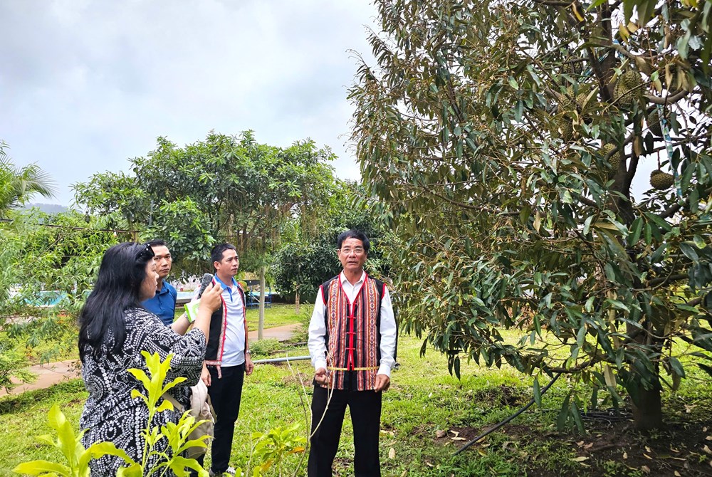 Thúc đẩy phát triển du lịch: Gia Lai tạo kết nối nông sản, ẩm thực với nội dung sáng tạo - ảnh 2