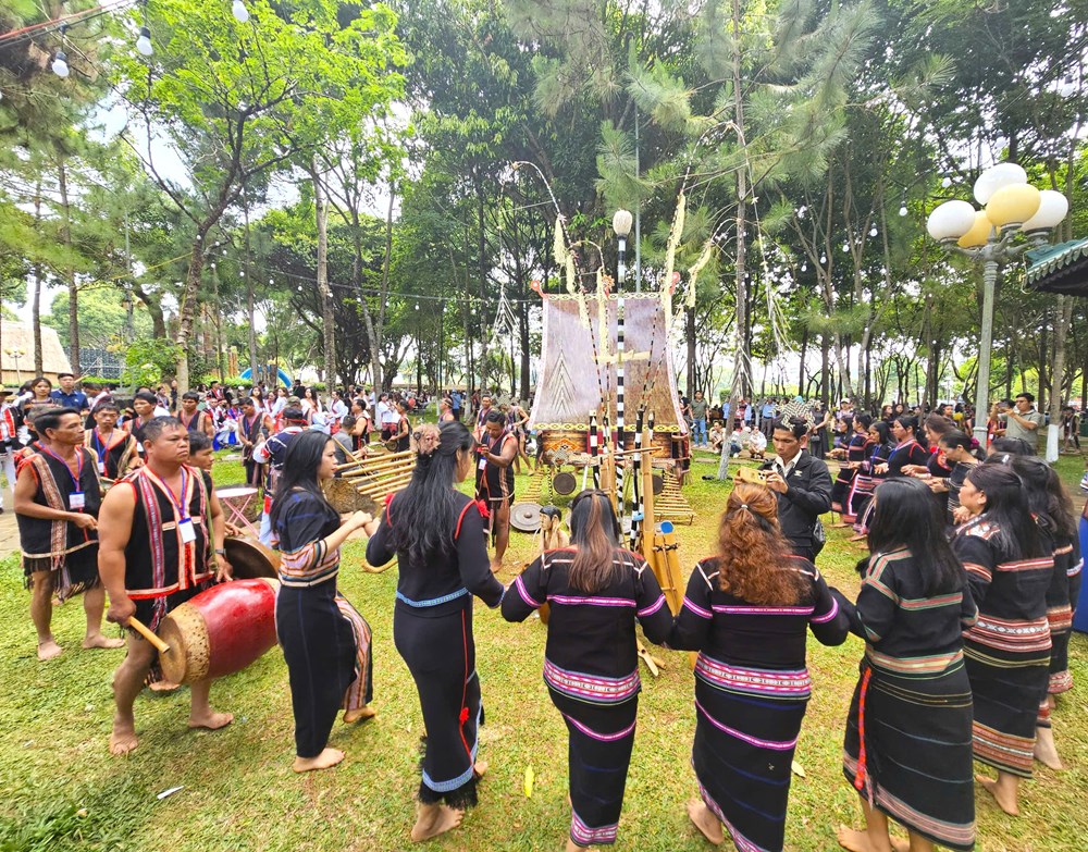 Gia Lai giữ nguyên quy mô, điểm hẹn hoa dã quỳ sẵn sàng bùng nổ - ảnh 1