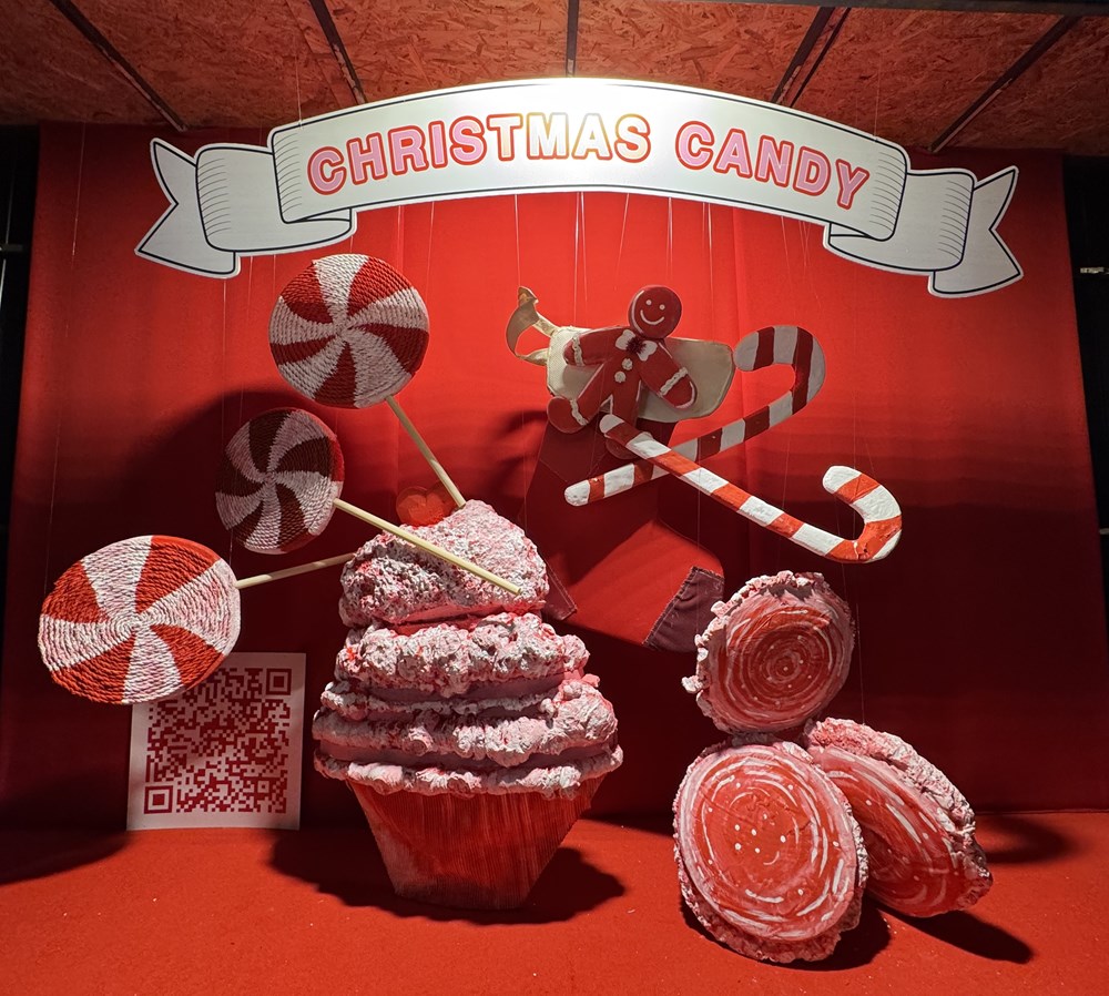 Lisbon rộn ràng mùa Giáng sinh - ảnh 6