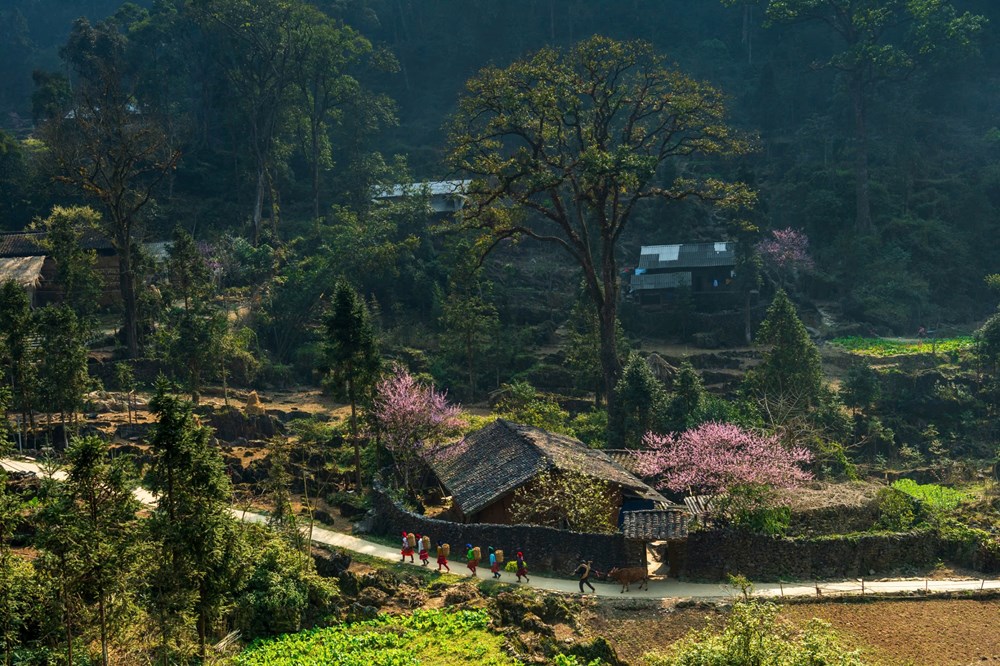 Cao nguyên đá Đồng Văn được vinh danh “Điểm đến văn hóa hàng đầu thế giới năm 2025” - ảnh 2