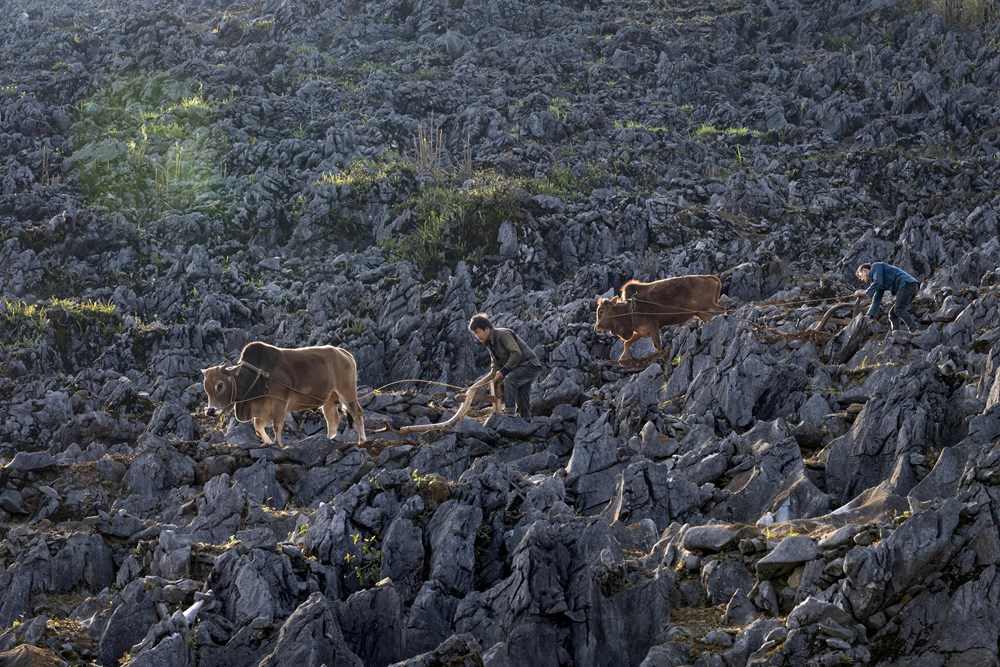 Cao nguyên đá Đồng Văn được vinh danh “Điểm đến văn hóa hàng đầu thế giới năm 2025” - ảnh 4