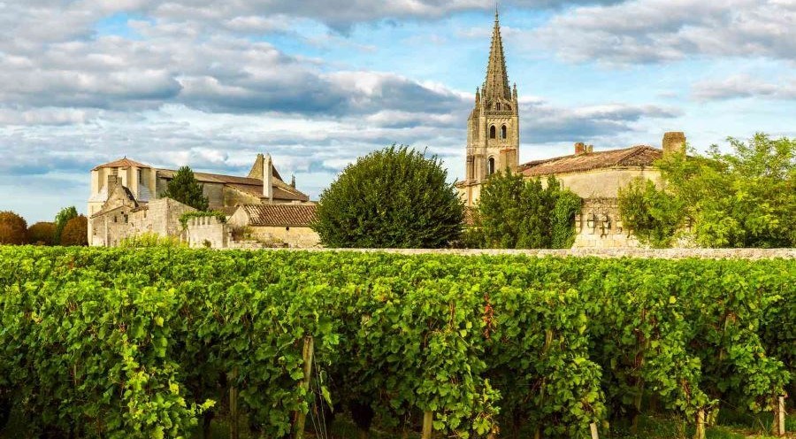 Du lịch rượu vang đánh thức di sản nông nghiệp toàn cầu - ảnh 1
