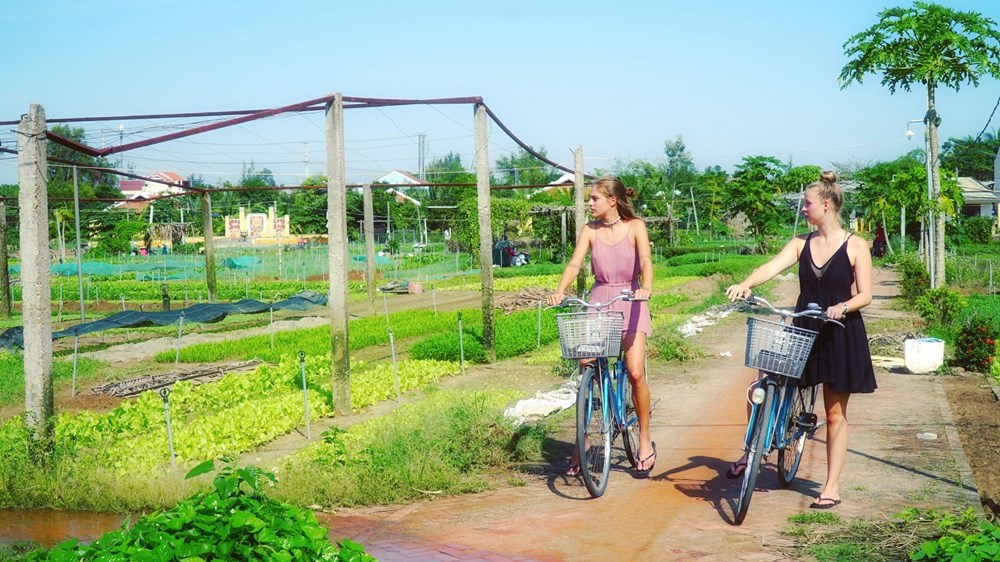 Việt Nam là thiên đường nghỉ dưỡng mới của các gia đình quốc tế - ảnh 1