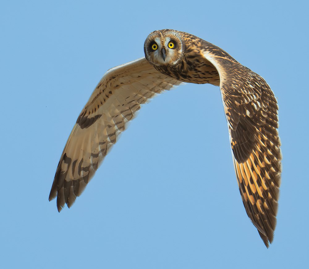 Cùng lữ khách Đỗ Doãn Hoàng đi tìm những “mảng màu rực rỡ biết bay” - ảnh 10