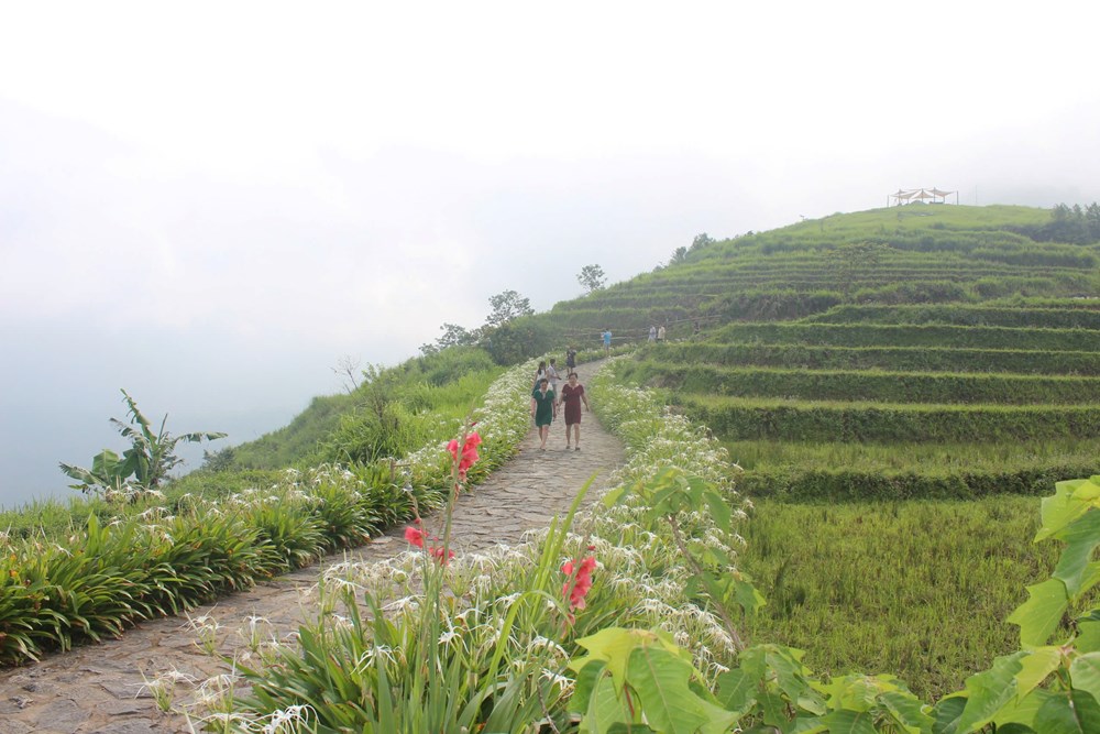 Vì sao Việt Nam lọt top 20 điểm đến “trốn rét” lý tưởng nhất thế giới? - ảnh 1