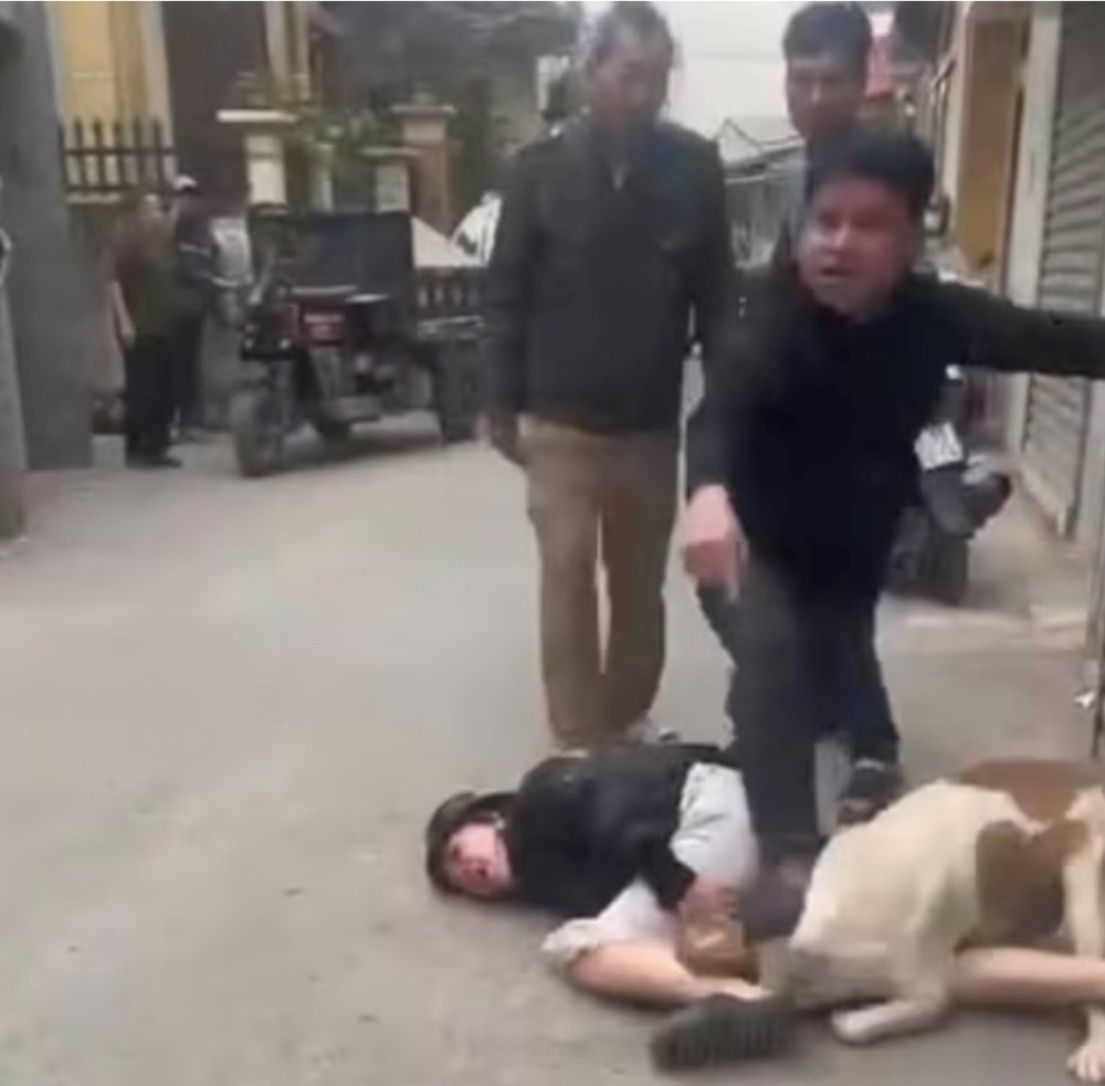 Trách nhiệm pháp lý của chủ nuôi đến đâu? - ảnh 1