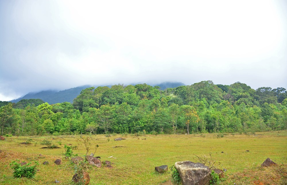 Theo gió lên Khe Sanh, thêm yêu miền biên viễn Tổ quốc - ảnh 2