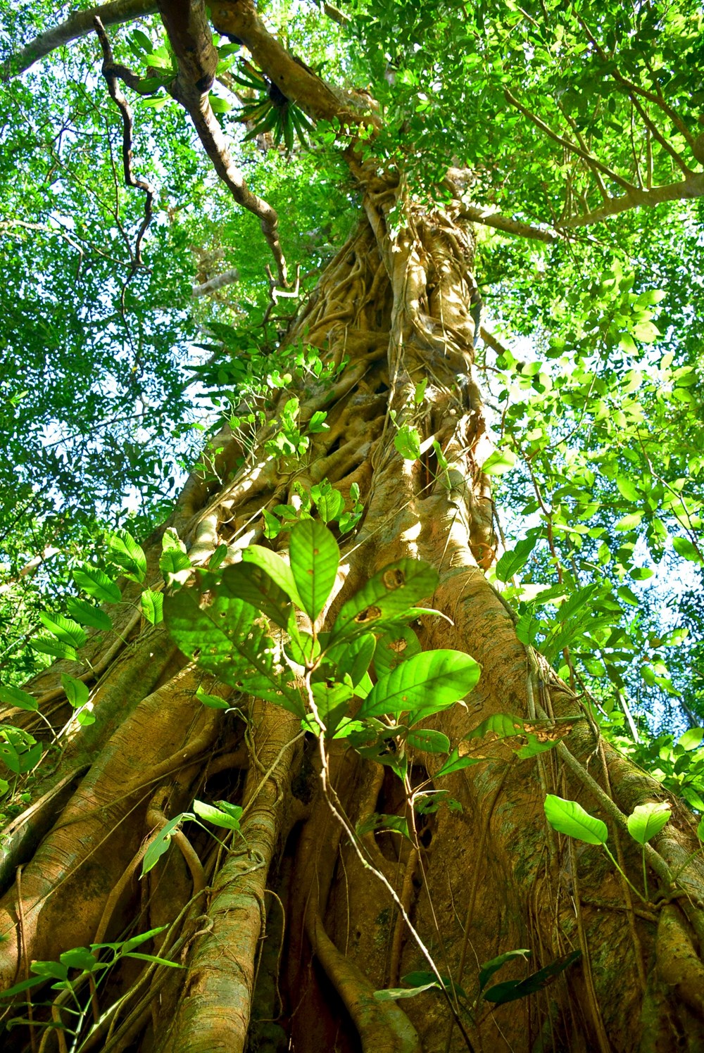 Theo gió lên Khe Sanh, thêm yêu miền biên viễn Tổ quốc - ảnh 11
