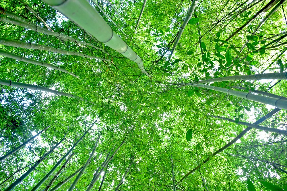 Theo gió lên Khe Sanh, thêm yêu miền biên viễn Tổ quốc - ảnh 6